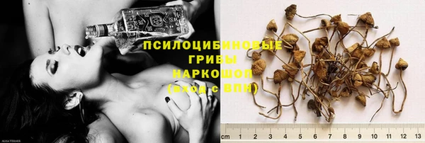 дмт Зеленокумск