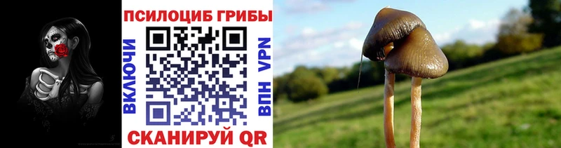 Галлюциногенные грибы Magic Shrooms  продажа наркотиков  Светогорск 